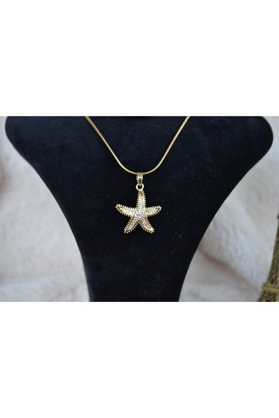 Stainlesss stellss Starfish Themed Steel Necklace