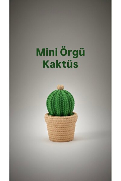 SİSUprintlab Örgü Görünümlü Kaktüs Biblo Saksı 3D Baskı Dekoratif Masa Süsü S...