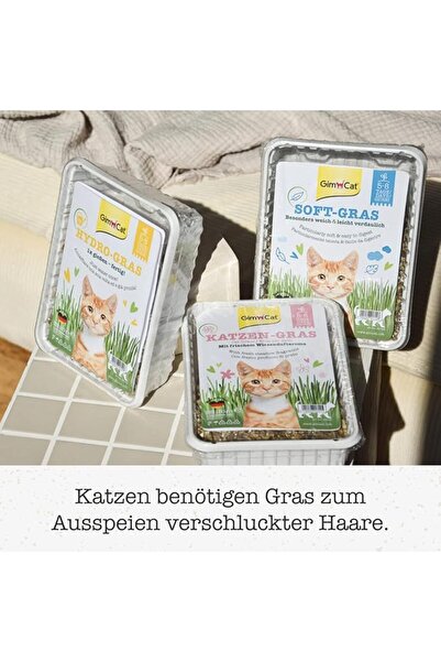 Gimcat Soft-Gras Cat Grass for Cat Health (100 g)