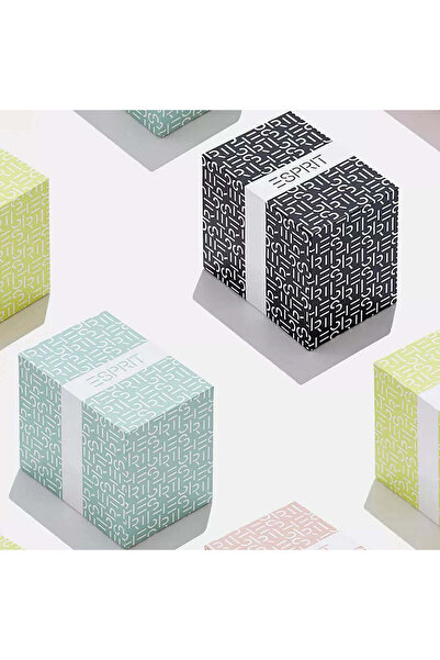 Esprit Women's Silver Stainless Steel Watch, Silver Dial | Es1l166m0025