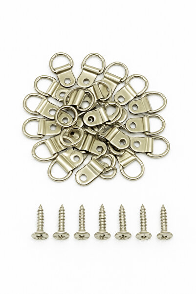 Varalli Tablo Askı Aparatı Vida Seti - 25'lü | Güçlü Taşıma | Metal Duvar Montaj Kancası