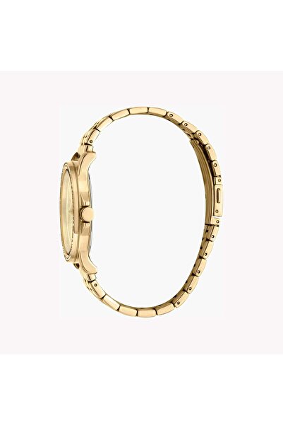 Esprit Women's Gold Stainless Steel Watch, Champagne Dial | Es1l186l0015