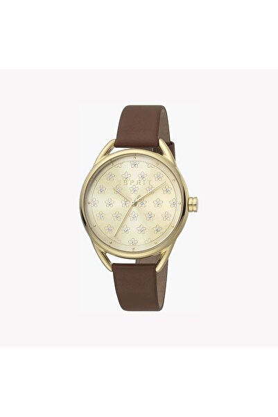 Esprit Women's Brown Leather Watch, Champagne Dial | Es1l196m0035