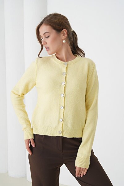 Noi Belis Simli Premium Yarn Crew Neck Regular Fit Knitwear Cardigan Aw25Hi0055