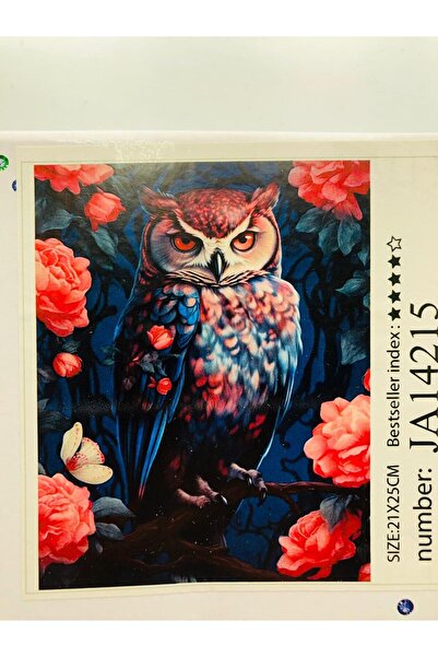 DUCK HOBY 21X25 Beaded Stone Mosaic Diamond Painting for Kids Tapestry Board Painting Picture Bead Puzzle Diamon