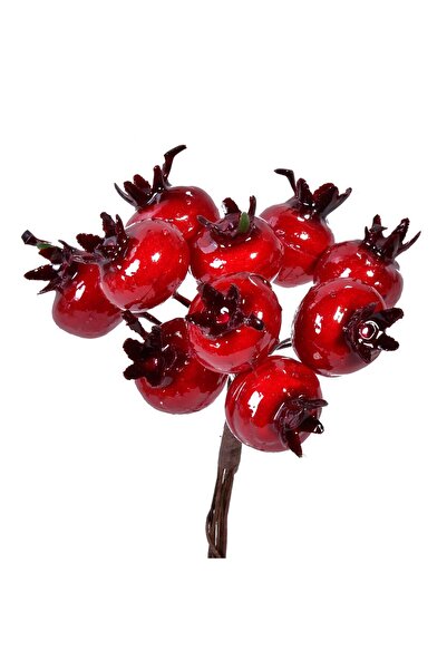 OEM Διακοσμητικό Χριστουγεννιάτικο Κλαδί Ροδιού 12εκ.