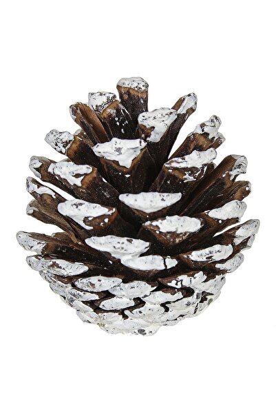 OEM Σετ 5 μέτρων διακοσμητικών κώνων - 20 τεμάχια