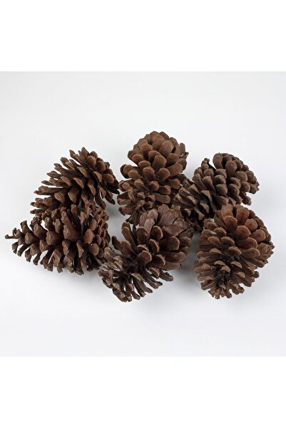 OEM Set Conuri Decorative Mari de Culoare Naturala 13-15cm - 6buc