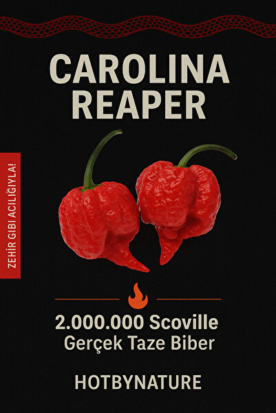 HotByNature CAROLINA REAPER PEPPER / 2,5 Milyon Scoville - Gerçek Taze Acı Biber