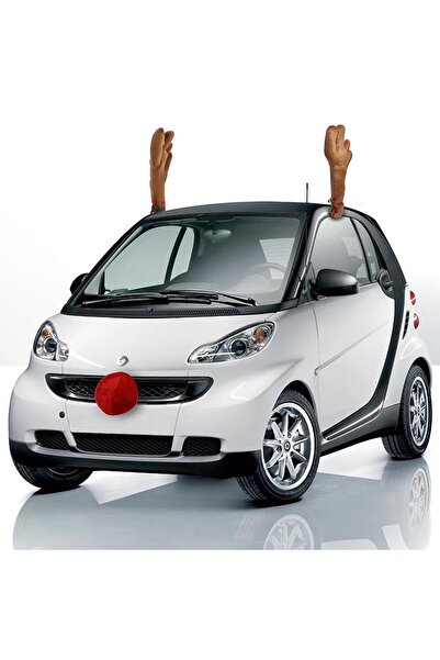 OEM Coarne si Nas pentru Decorarea Automobilului