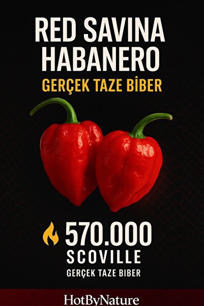 HotByNature RED SAVİNA HABANERO PEPPER 350.000 – 570.000 Scoville - Gerçek Taze Acı Biber