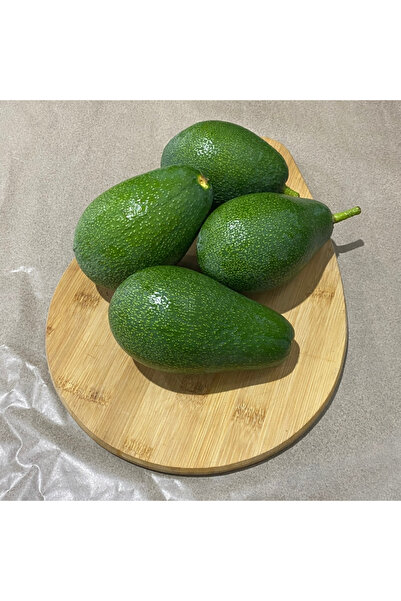 NATURESİN 5 Adet Fuerte Avokado 250 gr – Doğal, Katkısız, Taze ve Lezzetli