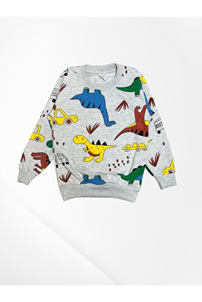 Pajama Shop Boys' Cotton Gray Color Dinosaurs Patterned Fleece-Lined Long Sleeve Winter Pajamas Set