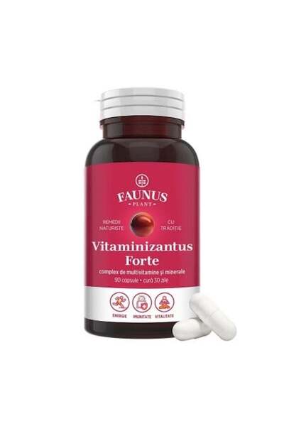 Faunus Plant Vitaminizantus Forte - Capsules with quality multivitamins and minerals, 90 capsules
