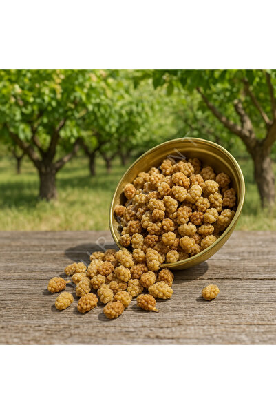 GURMEKENT سكر اللوز 1000 جرام