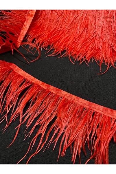 Massaltay ريش النعام الأحمر بطول 1 متر - زخرفة تزيينية، مواد للحناء والحرف ال...