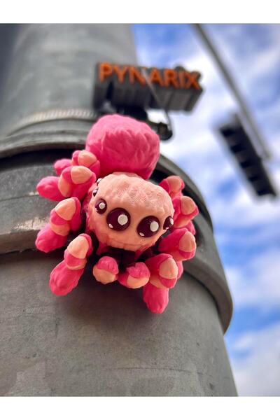 pynarix Albino Tarantula Mıknatıslı – Yapışan Sessizlik🕷️🌸🧲 3D Hareketli Organik Oyuncak Model Orta Boy