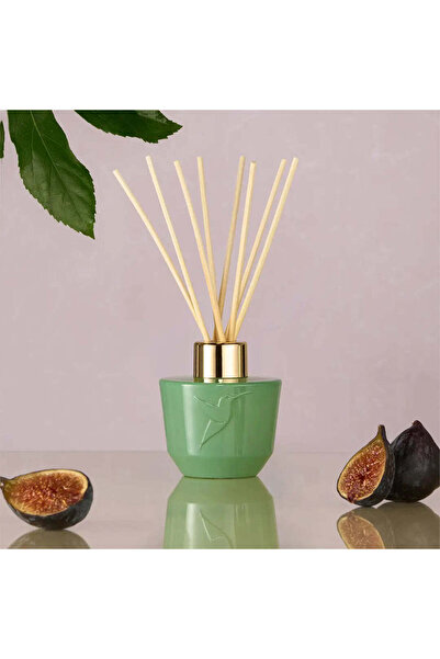 ADOPT في ظل شجرة التين - موزع