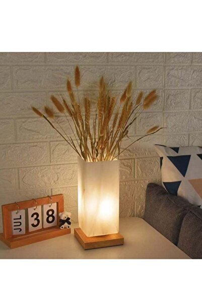 X SPRING USB Charge Vase Table Lamp Frosted Glass Shade with Wood Base for Bedroom Living Room Office