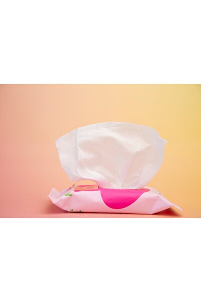 Caych Feminine Wet Wipes, 8-in-1 Ultra-Soft Plant-Based Sheets - Gynaecologist Tested - 4 Packs