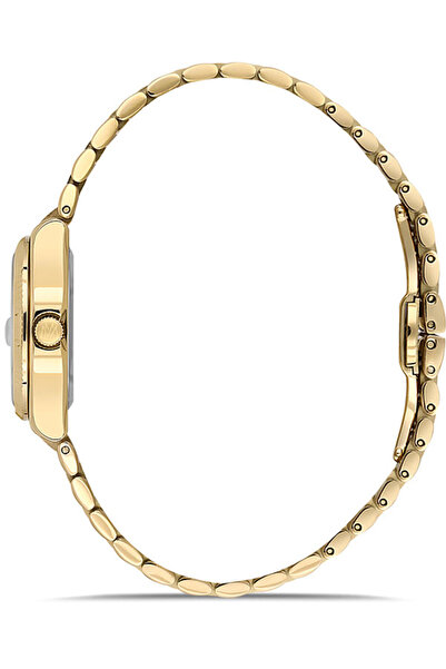 Momentus Cs262G-08Sg