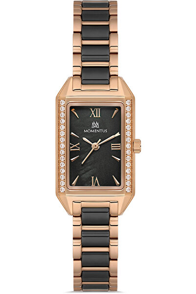 Momentus Ss273T-04Sr