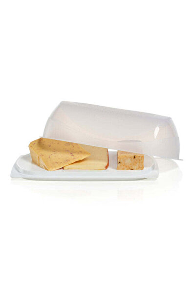 Tupperware Rectangular Cheese Keeper - CheeSmart Server