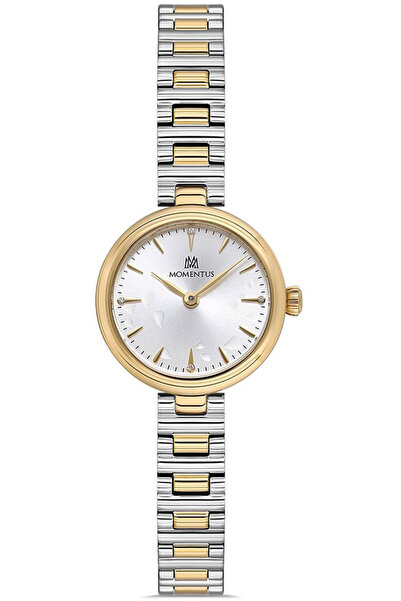 Momentus Cw313T-09Sg