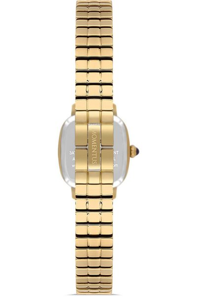 Momentus CW318G-02SG