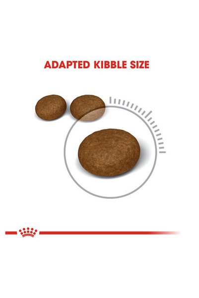 Royal Canin ROYALCANIN FELINE CARE NUTRITION HAIR & SKIN 10 KG