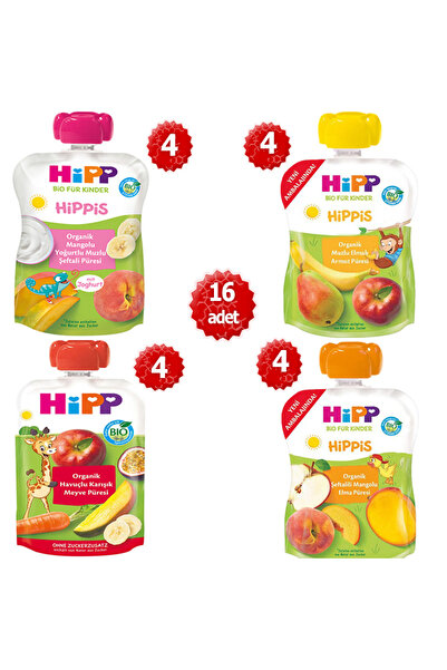 Hipp Organik x 16 Adet Karışık Meyve Püreleri 100 gr