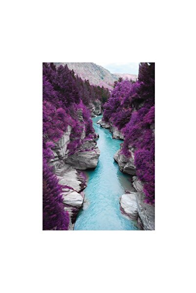 4Decor Pânză Tablou 4Decor, Pădure frumoasă, 60x90cm, DE0341