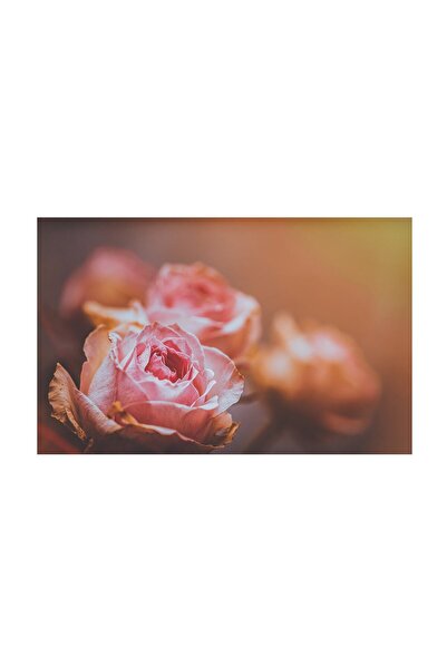 4Decor Pânză Tablou 4Decor, Buchet de trandafiri, 60x90cm, DE0226