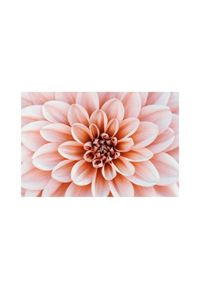 4Decor Pânză Tablou 4Decor, Blooming, 60x90cm, DE0382