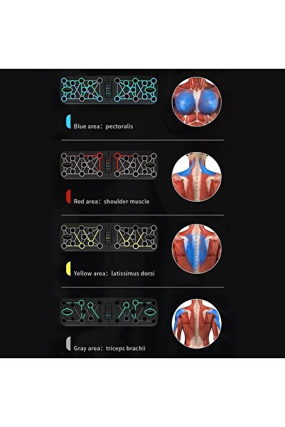 zola Foldable support, for push-ups and exercises, non-slip, 63 x 18 cm