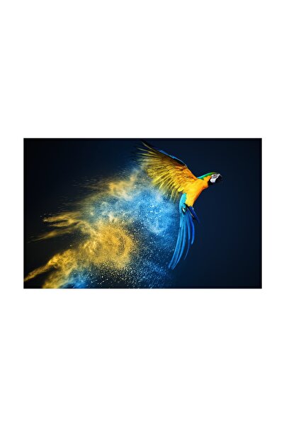 4Decor Pânză Tablou 4Decor, Papagal care se ridică, 60x90cm, DE0387