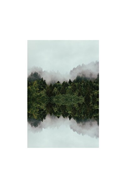 4Decor Pânză Tablou 4Decor, Pădure verde, 60x90cm, DE0237