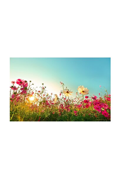 4Decor Tablou pânză 4Decor, Câmp de primăvară, 60x90cm, DE0277