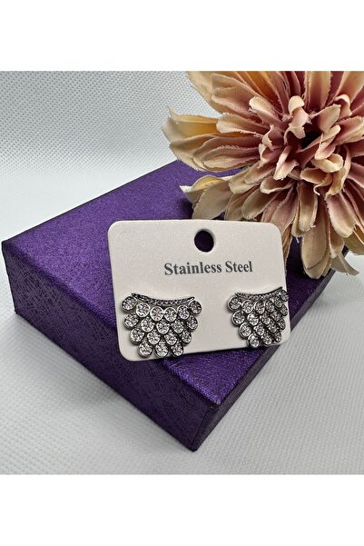 staınless steel New Silver Color Zircon Stone Steel Earrings