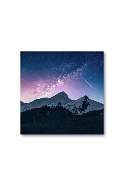 4Decor Pânză Tablou 4Decor, Cometa, 50x50cm, DM0155