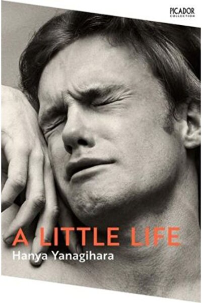 Picador A Little Life (Picador Collection)
