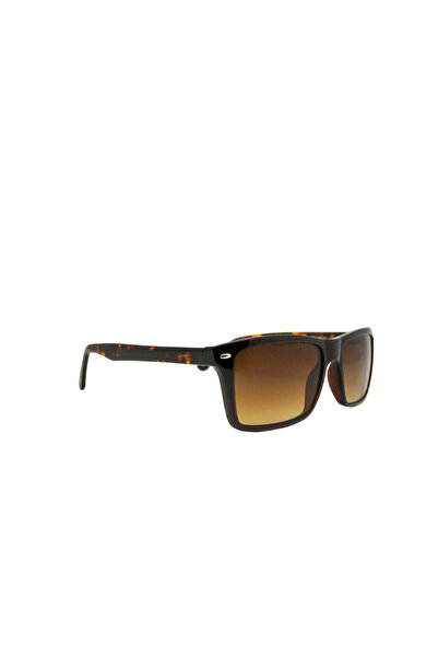 Swing Ss108Clas01 Acetate Men's Sunglasses