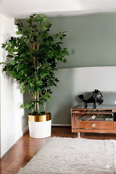 ERHAN FLOWERS Yapay Agaç 200 Cm Islak Doku Benjamin darbuka saksıda