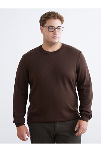 LC Waikiki Brown Crew Neck Men's Knitwear Sweater