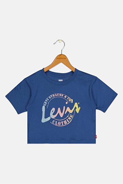 Levi's Toddlers Boy Short Sleeve Graphic T Shirt, Blue