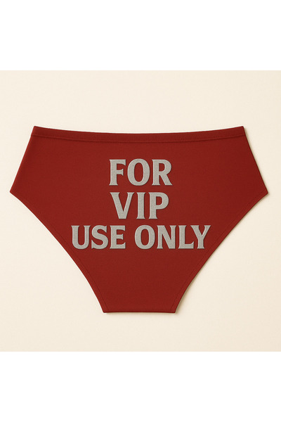 TWINTICKS Red Christmas Themed Women's Slip Panties, Metallic Lettering Print...