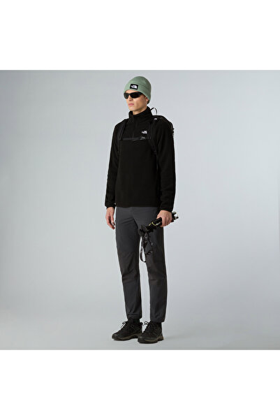 THE NORTH FACE Флісова кофта Glacier Fleece 1/4 Zip Erkek Siyah для активного відпочинку