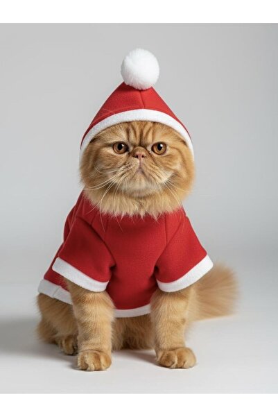 Kemique Buddy Kapşonlu Yılbaşı Kedi Sweatshirt Noel