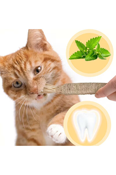 Efendishop Matatabi çubuğu Kedi Çiğneme Çubuğu 2 ADET