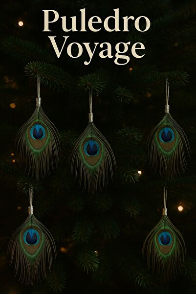 Puledro مجموعة زينة شجرة عيد الميلاد من ريش الطاووس الحقيقي مكونة من 5 قطع، م...